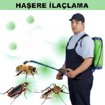 Ağlı Böcek İlaçlama